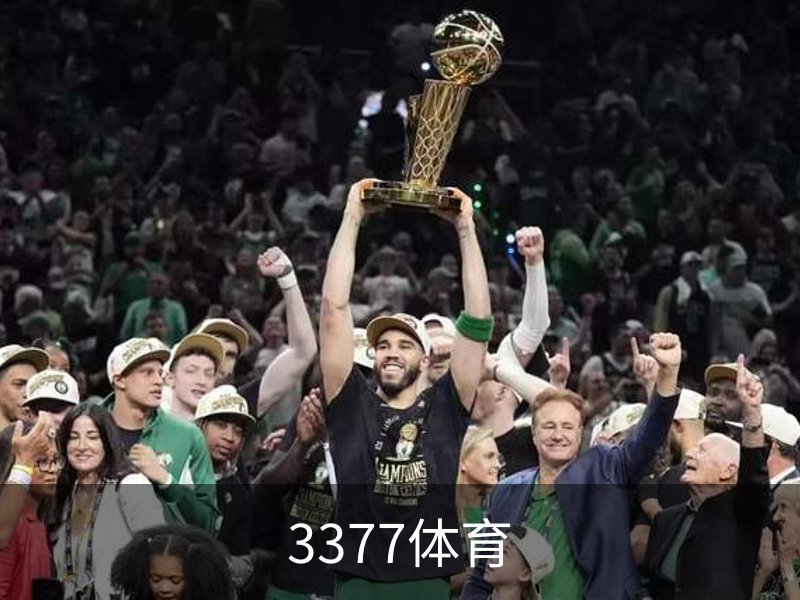 了解3377体育
